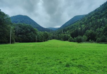 Randonnée Marche Wildenstein - TREK ALSACIEN (boucle de Wildenstein) - Photo