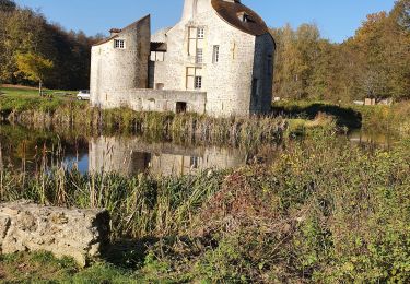 Trail Walking Bouffémont - Bouffemont-Taverny - Photo