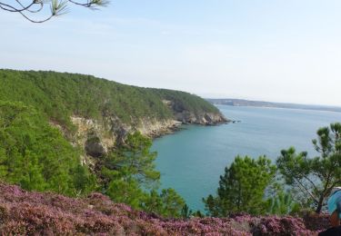 Percorso A piedi Crozon - Morgat Ile Vièrge - Photo