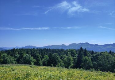 Randonnée Marche Corrençon-en-Vercors - Corrençon/ plateau château julien/valchevriere/bois Barbu  - Photo