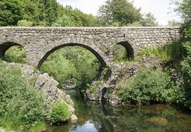 Tour Wandern Saint-Andéol-de-Fourchades - Boucle de la ferme de Bourdalier à Sagnes-et-Gourdoulet - Photo