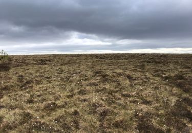 Trail Walking  - Ecosse Glenlivet Estate  - Photo