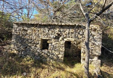 Trail Walking Saint-Vallier-de-Thiey - St vallier. plateau la malle  - Photo