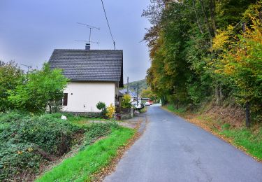 Trail On foot Eitorf - Wildwiesenweg (Erlebnisweg Sieg Nr. 9) - Photo