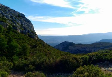 Excursión Bici de montaña Aubagne - Jeudaï-Garlaban-29nov2018 - Photo