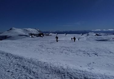 Tocht Ski randonnée Le Dévoluy - la combe de la Cluse et sommet 2595 - Photo