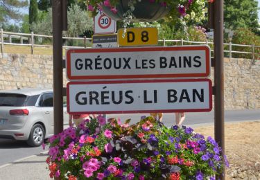 Tocht Stappen Gréoux-les-Bains - 20220617 - Gréoux 6.5 Km - Photo