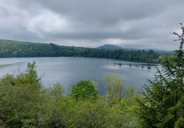 Excursión Senderismo Charbonnières-les-Vieilles - gour de Tazenat - Photo