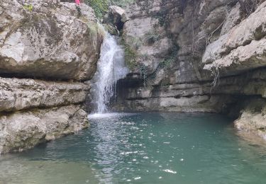 Excursión Ruta Vence - cagnes descente - Photo