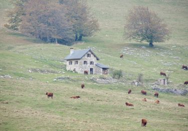 Excursión Senderismo Omblèze - Plateau d'Ambel (le tour) - Photo