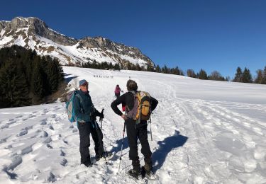 Excursión Senderismo Aillon-le-Jeune - Sillon le jeune 25-01-22 - Photo