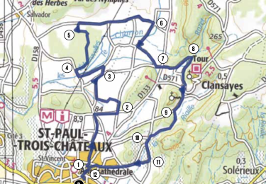Percorso Mountainbike Saint-Paul-Trois-Châteaux - Circuit Bleu n°6 la Grande Plaine - Photo