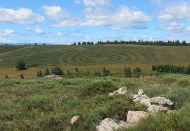 Trail Walking Montselgues - Chaos granitique de Montselgues - Photo