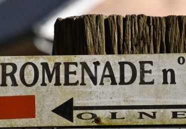 Tocht Stappen Olne - Les grès de Vaux: Olne Vaux-sous-Olne Froidbermont - Photo