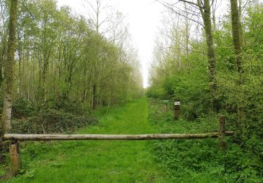 Trail On foot Lichtervelde - Heihoek wandelroute - Photo