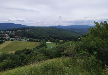 Tocht Stappen Gemeinde Gießhübl - Giesshubl - Photo