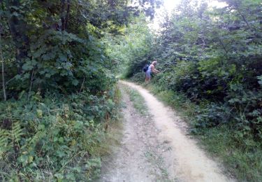 Trail Walking Guînes - forêt 🐿 Guînes 11 08 2022 - Photo