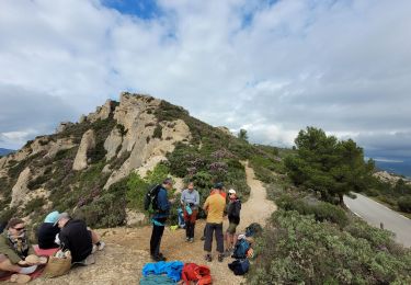 Trail Walking La Ciotat - Traversée Philémon au Cap Canaille  - Photo