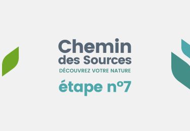 Tocht Stappen Theux - Chemin des Sources |ETAPPE 7 JEHANSTER  – THEUX - Photo