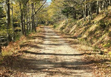 Randonnée Marche Pélussin - boucle de la croix de Montvert  - Photo