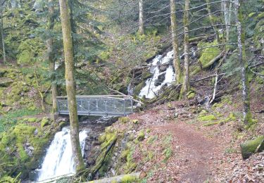 Tour Wandern Krüt - kruth - Photo