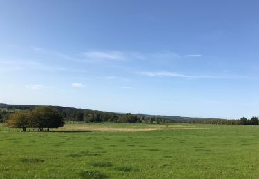 Tour Wandern Érezée - Clerheid  - Photo