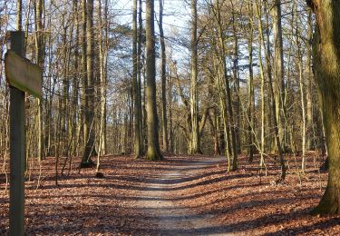 Randonnée A pied Eutin - Dodauer Forst-Route - Lang - Photo