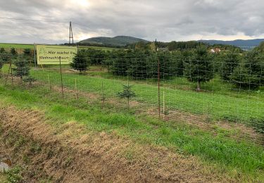 Tour Zu Fuß Grafendorf bei Hartberg - Hartberg Eggendorf Grafendorf - Photo