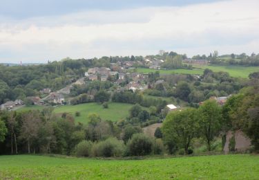 Tocht Stappen Flémalle - Les Awirs - Photo