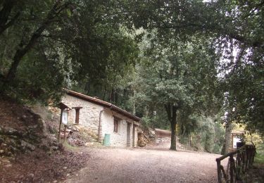 Trail On foot Perugia - Monte Tezio dal Parcheggio alla vetta - Photo