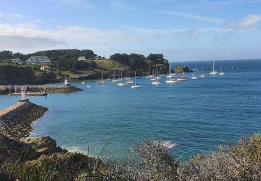 Tocht Stappen Sauzon - Autour de Sauzon - Photo