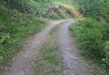Trail Walking Saint-Paul-sur-Ubaye - le tour de tournoux  - Photo