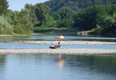 Percorso A piedi Santo Stefano di Magra - Riva sinistra del fiume Magra (percorso fluviale) - Photo