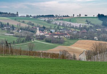 Tocht Te voet Scharten - Panoramaweg - Photo