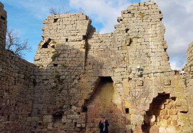 Tour Wandern Carennac - Ruines de Taillefer - Photo