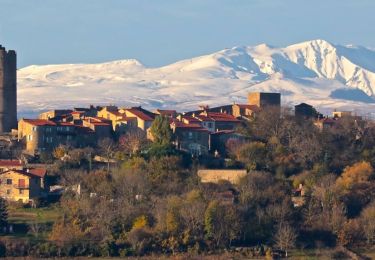 Tour Wandern Montpeyroux - Montpeyroux_Autour - Photo