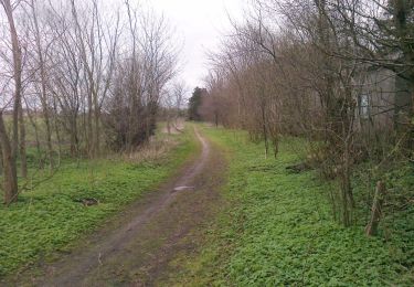 Percorso A piedi  - Rød rute – Langebjerg Plantage - Photo