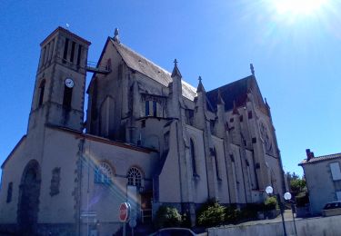 Tocht Stappen Boussay - Boussay - Clisson  - Photo