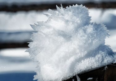 Percorso A piedi Zărnești - Cabana Plaiul Foii -Șaua Tămașului-Răchita - Photo