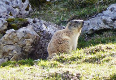 Tour Wandern Chichilianne - 2023-05-05_20h59m57_J2 ROCHER PARQUET MODIFIE - Photo