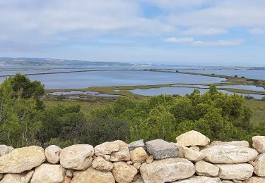 Trail Walking Port-la-Nouvelle - ile ste. Lucie en boucle - Photo