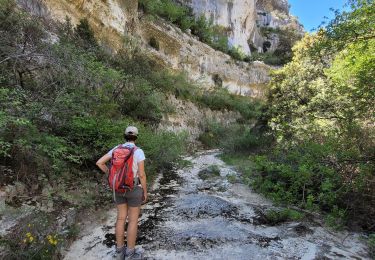 Trail On foot Gordes - les gorges de la Véroncle - Photo