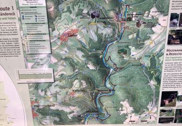 Trail On foot Burg-Reuland - Ouren  Lierler natura 2000 - Photo