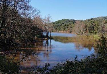 Trail Walking Fréjus - Barrage de Malpasset , lac et gorges d'Avellan - Photo