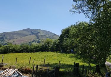 Randonnée Marche Saint-Pée-sur-Nivelle - marche fin SARE Ainoha  - Photo