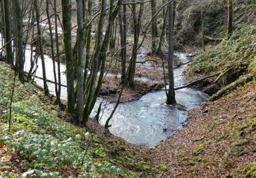 Excursión Senderismo Viroinval - La Promenade des Bornes - Olloy-sur-Viroin - Photo