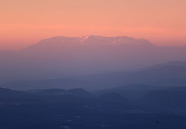 Trail On foot  - Valea Mădărașul Mic - Valea Săritor - Vf. Harghita Mădăraș - Photo