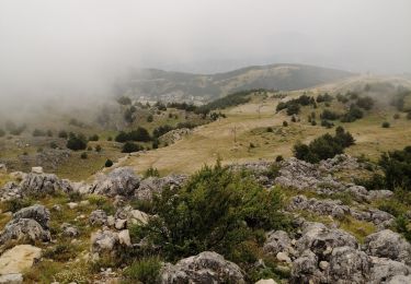 Trail Walking Gréolières - Cime du Cheiron  - Photo