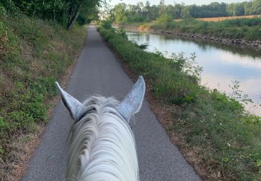 Tocht Paardrijden Lépanges-sur-Vologne - La Hauta Verrière - Uxegney - Photo