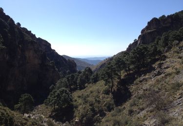 Randonnée A pied Canillas de Aceituno - Sendero El Saltillo - Photo
